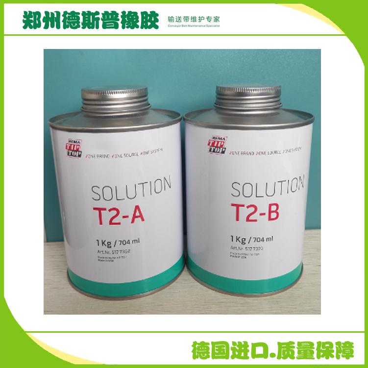 T2ճӄ